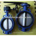 demo butterfly valve with cast iron body